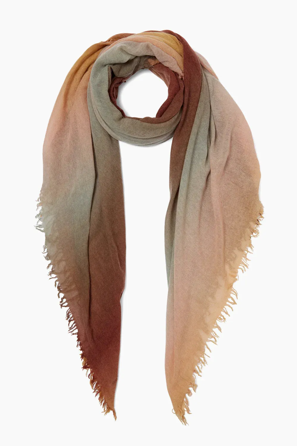 Chan Luu Cashmere Ombre Scarf in Honey Gold 