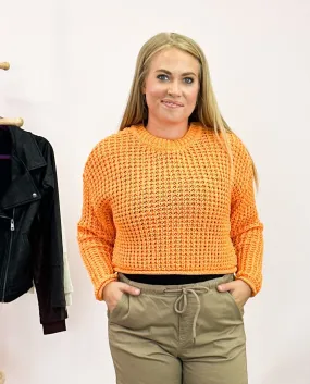 *FINAL SALE* RD Style | Darla Crew Neck Pullover | Apricot