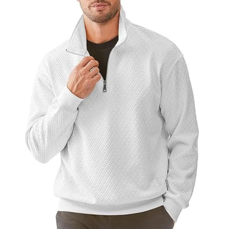 Men's Casual Zipper Stand Collar Geometric Texture Long Sleeve Pullover Sweatshirt 78923866M