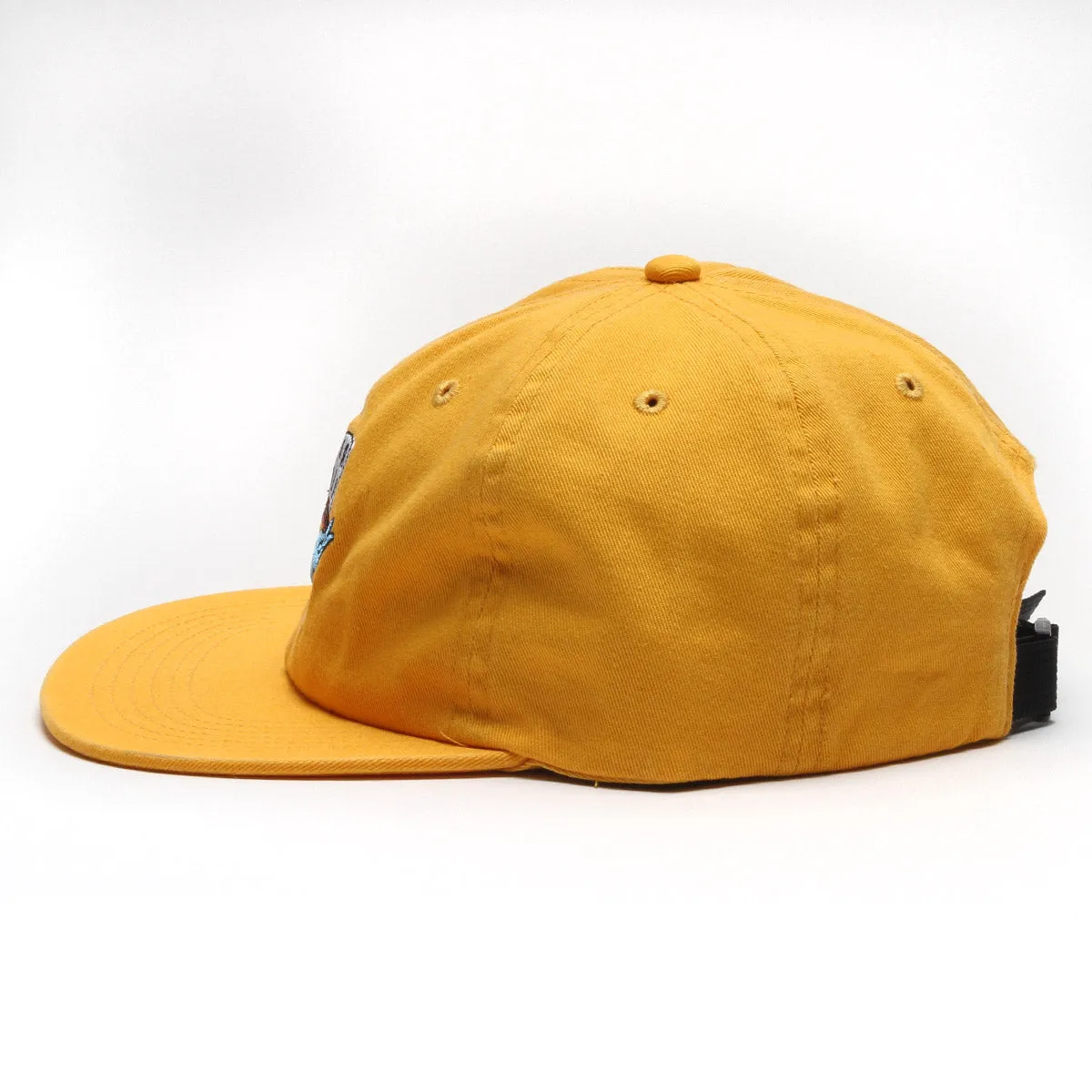 Scholar 6-Panel Cap