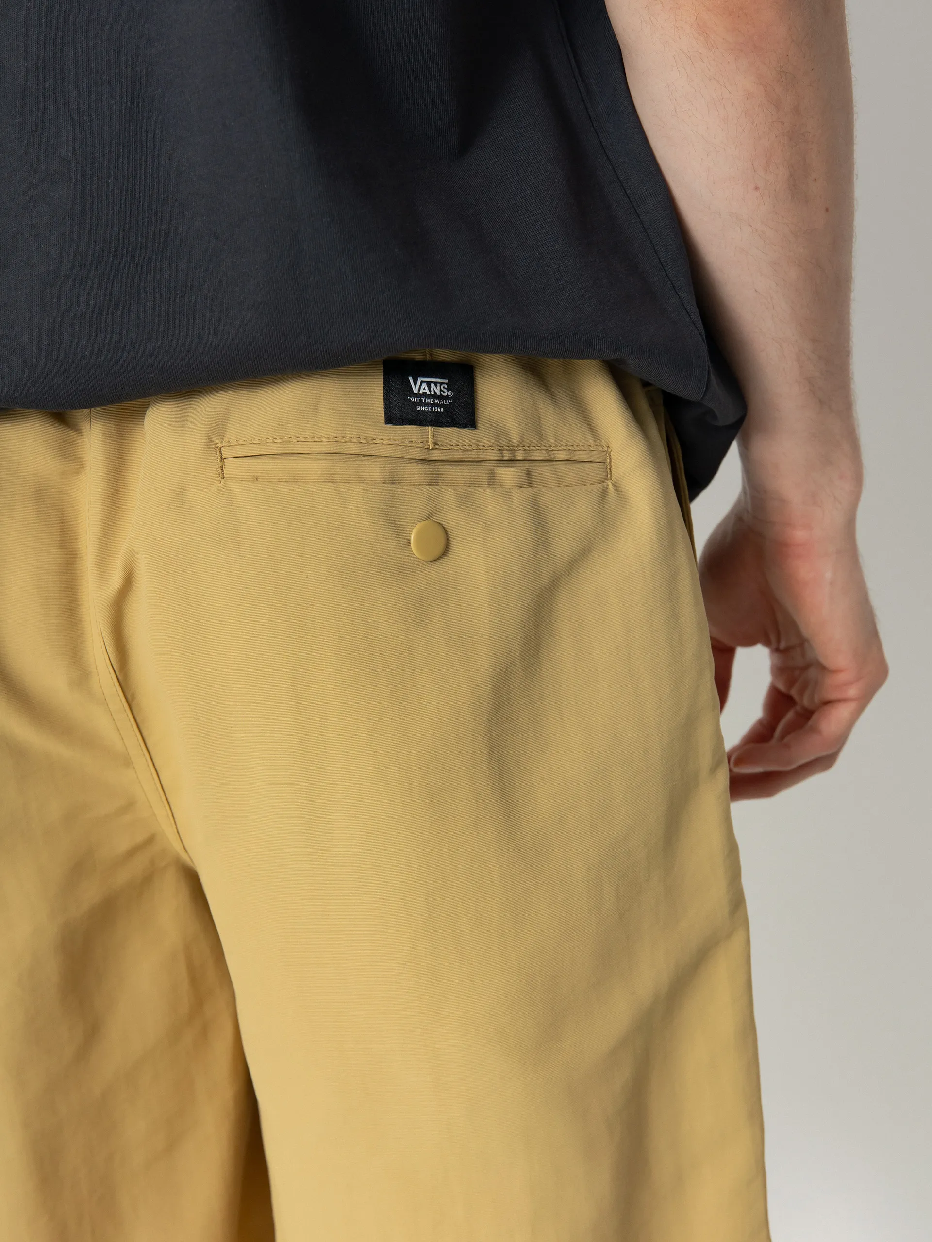 Vans Range Nylon Loose Shorts (antelope)